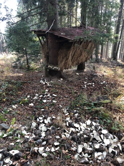 Trávna senáž a dužina (repka)