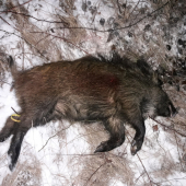 Posledný v sezóne 2019/2020