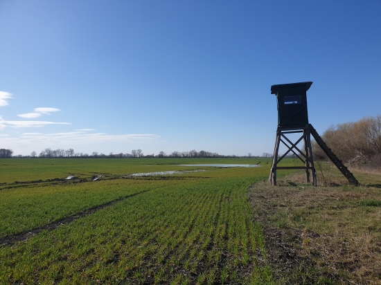 Aj u vás je už tak krásne ?