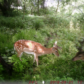 Kde je voda, tam je život