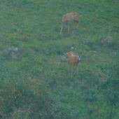 50 metrov od paneláku