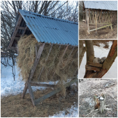 Pomoc v núdzi