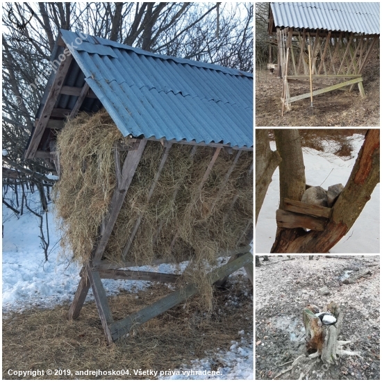 Pomoc v núdzi