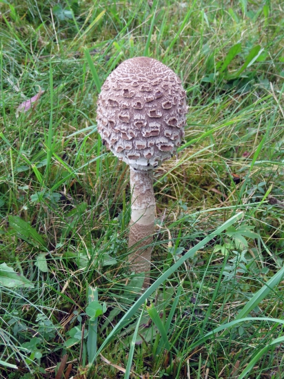 škoda, že bola iba jedna