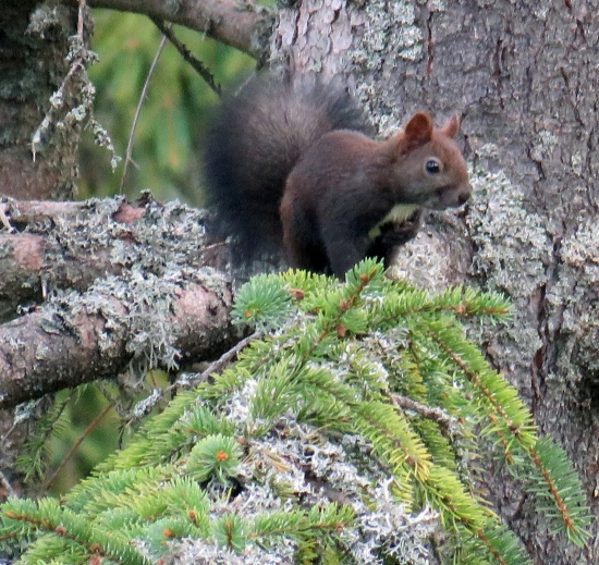 prišla pozrieť čo mám na raňajky :)