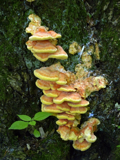 a o obed bolo postarané :)