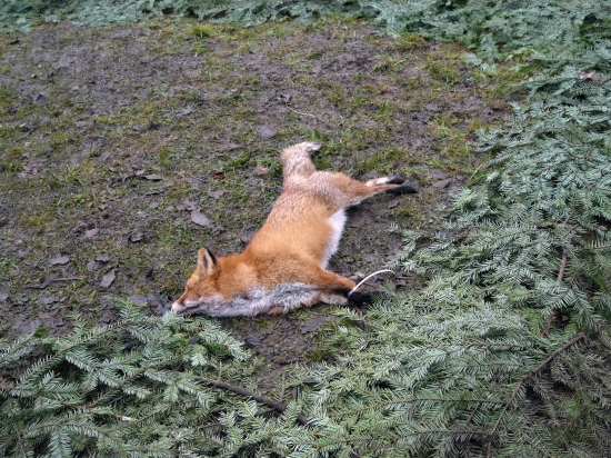 no čo už