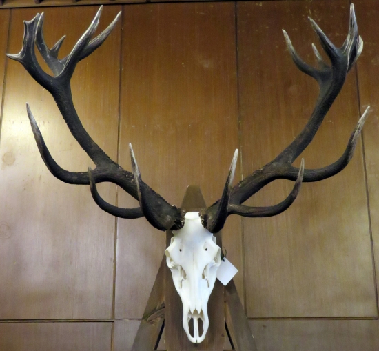 najsilnejší z Poľany za poľovnícku sezónu 2018/2019