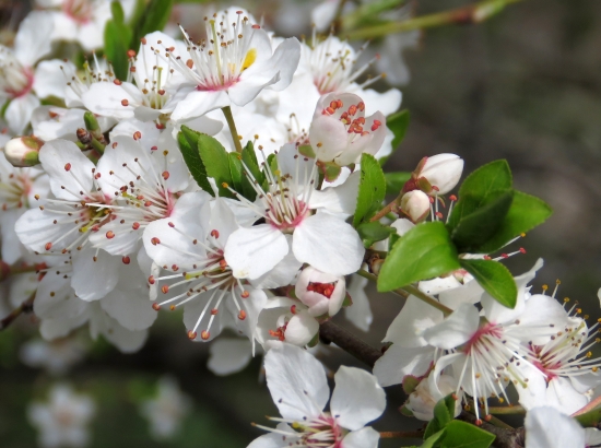 jar je nádherná :)