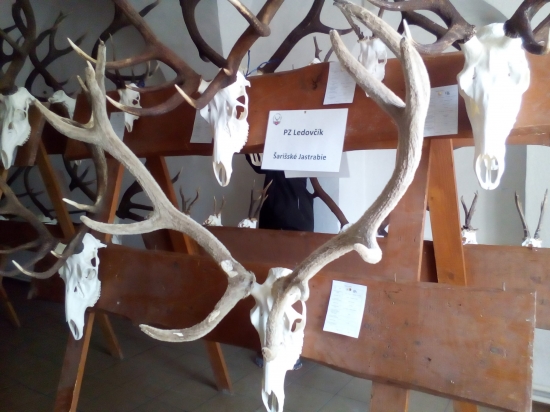 výstava trofejí v SL