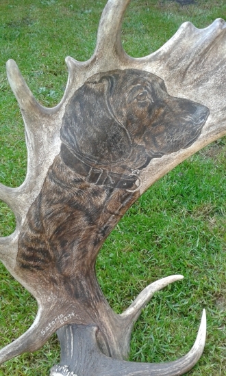 VLASTNÍ MOTIV NA DANČÍ LOPATĚ - Hannoverský barvář