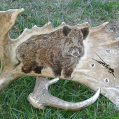 Hodiny z dančí lopaty - DIVOČÁK