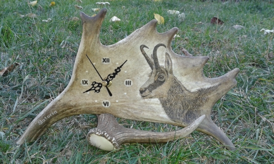 Hodiny z dančí lopaty - KAMZÍK