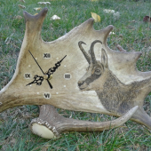 Hodiny z dančí lopaty - KAMZÍK