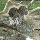 HODINY Z DANČÍ LOPATY - na přání zákazníka