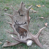 HODINY Z DANČÍ LOPATY - troubící jelen