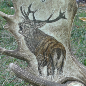 HODINY Z DANČÍ LOPATY - troubící jelen - DETAIL MOTIVU