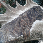 Hodiny z dančí lopaty - Hannoverský barvář