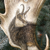 HODINY Z DANČÍ LOPATY - kamzík