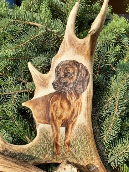 Motiv na dančí lopatě - na přání zákazníka podle dodané fotografie