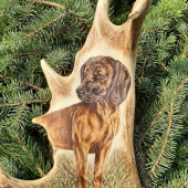 Motiv na dančí lopatě - na přání zákazníka podle dodané fotografie