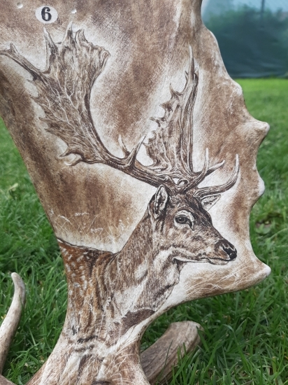 HODINY Z DAŇČÍ LOPATY - detail