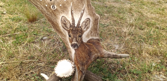 HODINY Z DAŇČÍ LOPATY - detail motivu