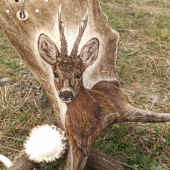 HODINY Z DAŇČÍ LOPATY - detail motivu