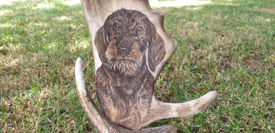 Motiv na daňčí lopatě