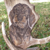 Motiv na daňčí lopatě