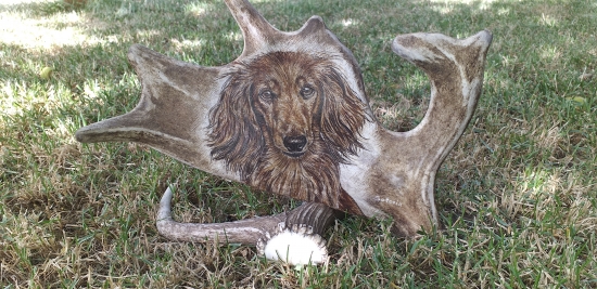 Motiv na daňčí lopatě