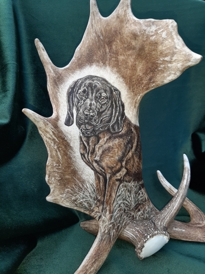 Motiv na daňčí lopatě - na přání