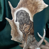 Motiv na daňčí lopatě - na přání