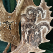 Hodiny z daňčích lopat