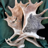 Hodiny z daňčích lopat - Divočák