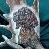 Motiv na daňčí lopatě - Bavorský barvář (štěně)