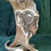 Hodiny z daňčí lopaty - Muflon