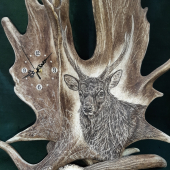 Hodiny z daňčích lopat - Jelen sika