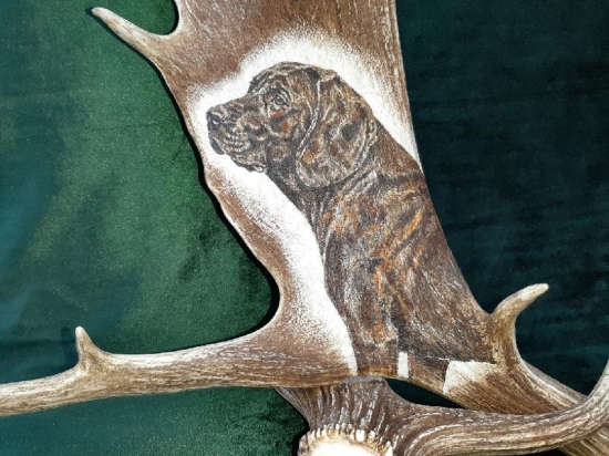 Motiv na daňčí lopatě - Hannoverský barvář - na přání zákazníka