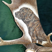 Motiv na daňčí lopatě - Hannoverský barvář - na přání zákazníka