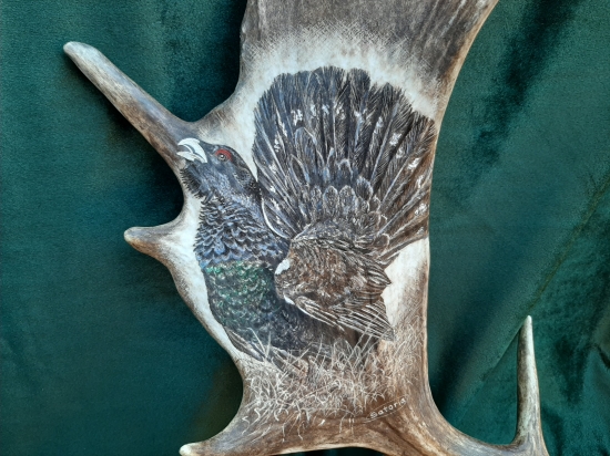 Motiv na daňčí lopatě -Tetřev - na přání zákazníka