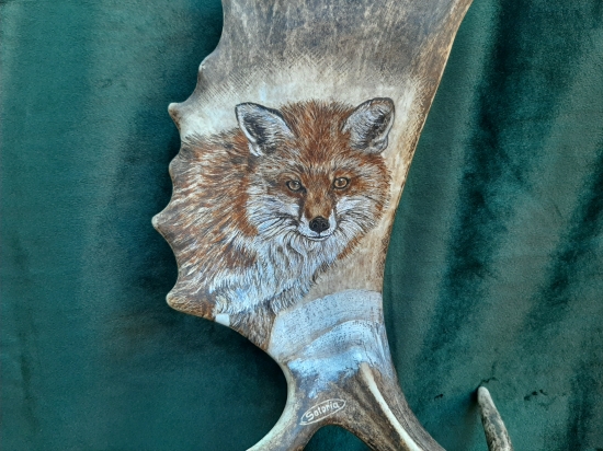 Motiv na daňčí lopatě - liška
