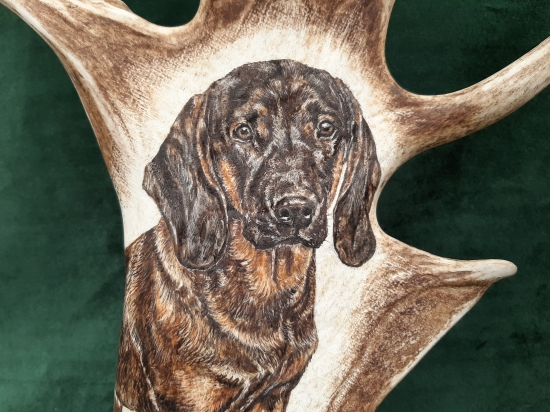 Motiv na daňčí lopatě - BAVORSKÝ BARVÁŘ - na přání zákazníka