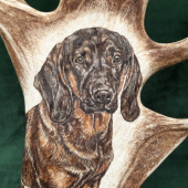 Motiv na daňčí lopatě - BAVORSKÝ BARVÁŘ - na přání zákazníka