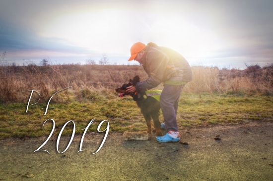 PF 2019