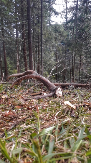 Môj prvý 8-rák...