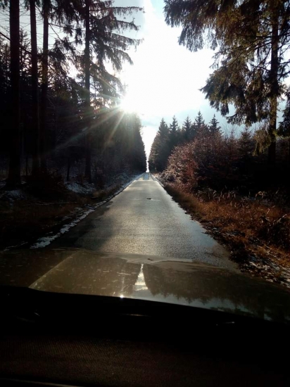 Cestou ke krmelišti