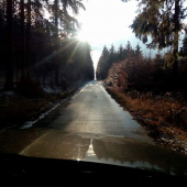 Cestou ke krmelišti