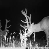 ešte z leta ale krasa