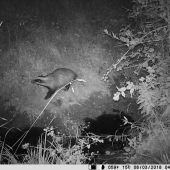 taka spomienka na 2018